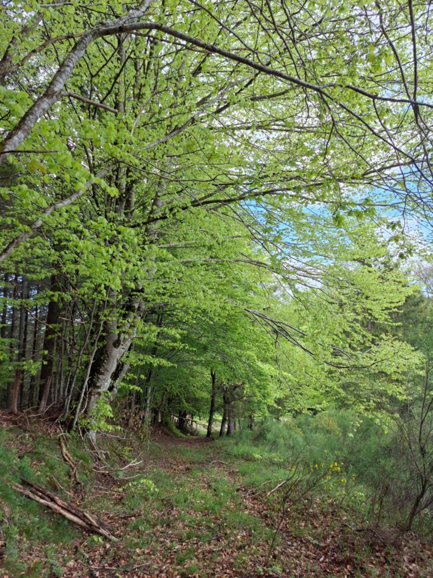 Camping Terre D'oyali Saint-Rirand