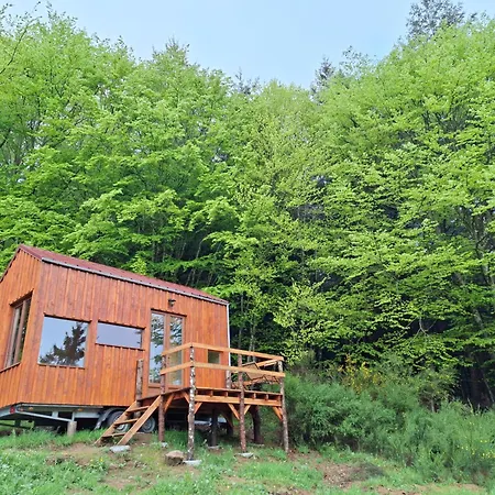 Hotel Terre D'Oyali à Saint-Rirand Extérieur photo