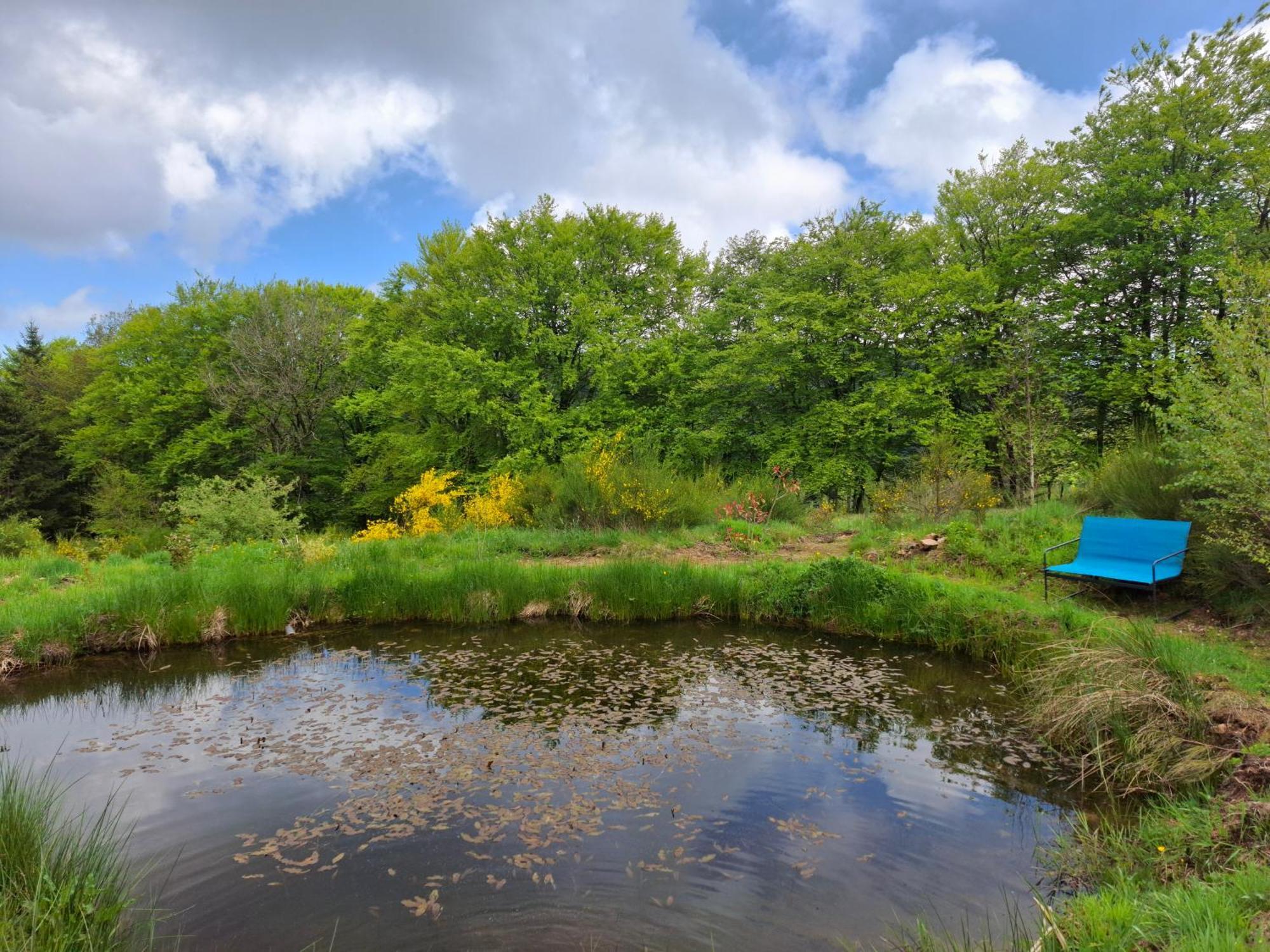 Campsite Terre D'oyali Saint-Rirand